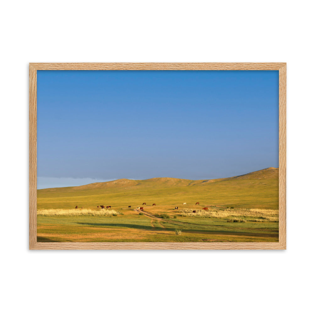 Poster mit Rahmen - Steppe on a calm morning, Mongolia Oak / 50×70 cm artlia