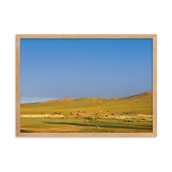 Poster mit Rahmen - Steppe on a calm morning, Mongolia Oak / 50×70 cm artlia