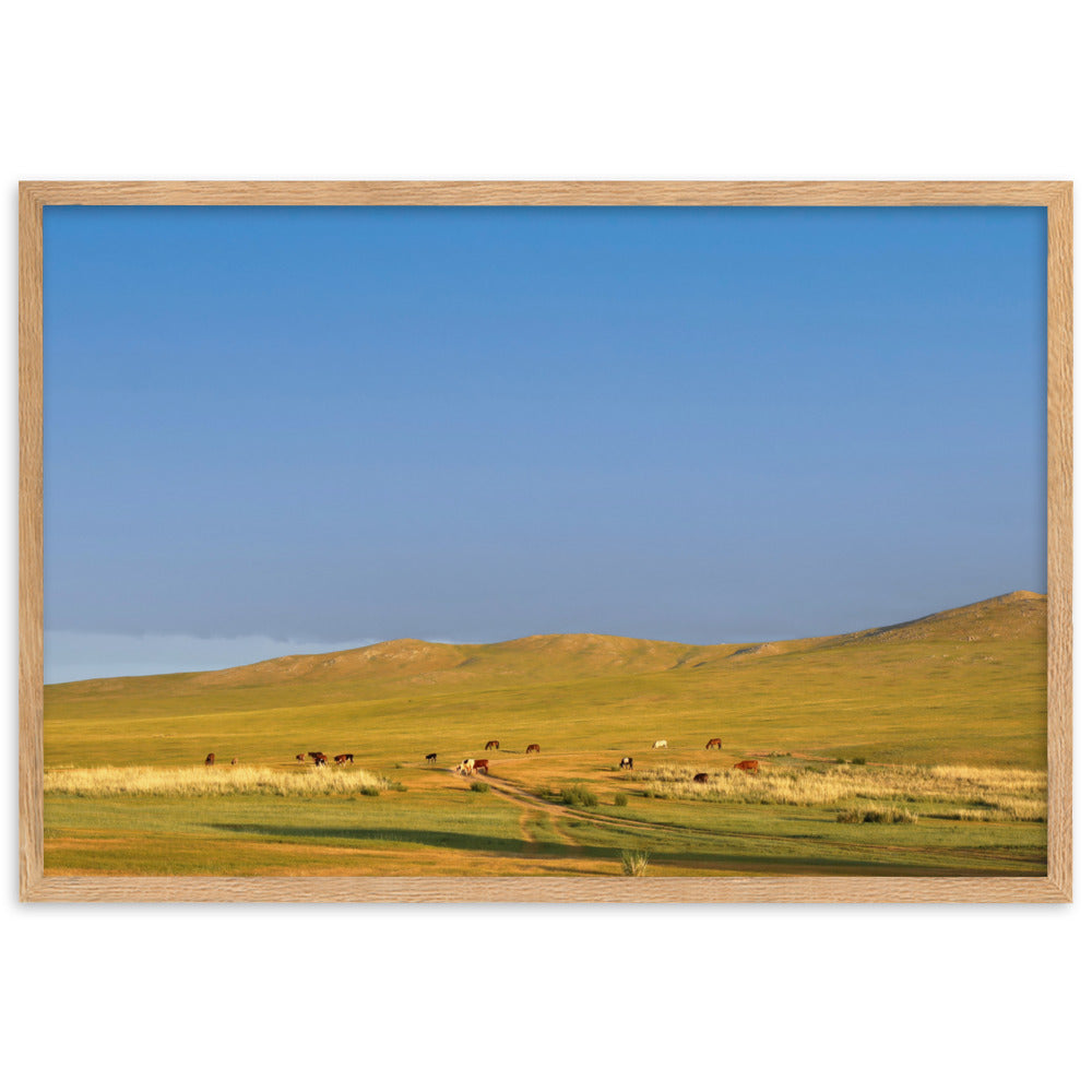 Poster mit Rahmen - Steppe on a calm morning, Mongolia Oak / 61×91 cm artlia