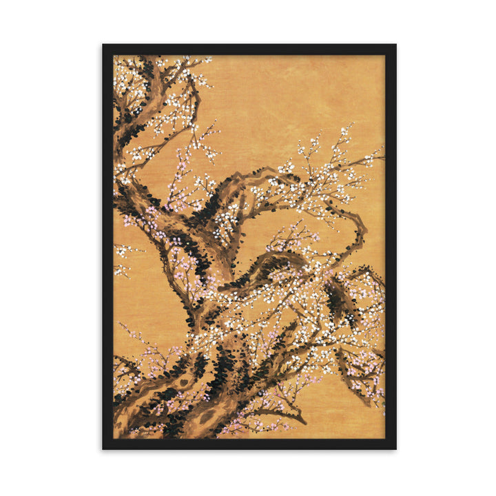 Poster - Rote und weiße Pflaumenblüten Schwarz / Teil 2 / 50×70 cm artlia