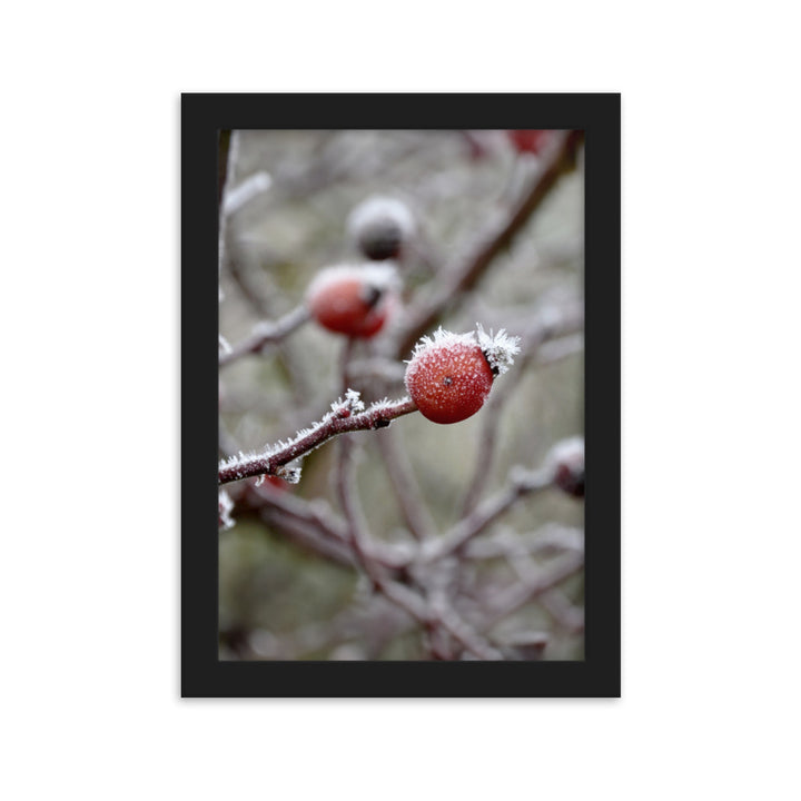 Poster - Winterbeeren II Schwarz / 21×30 cm artlia