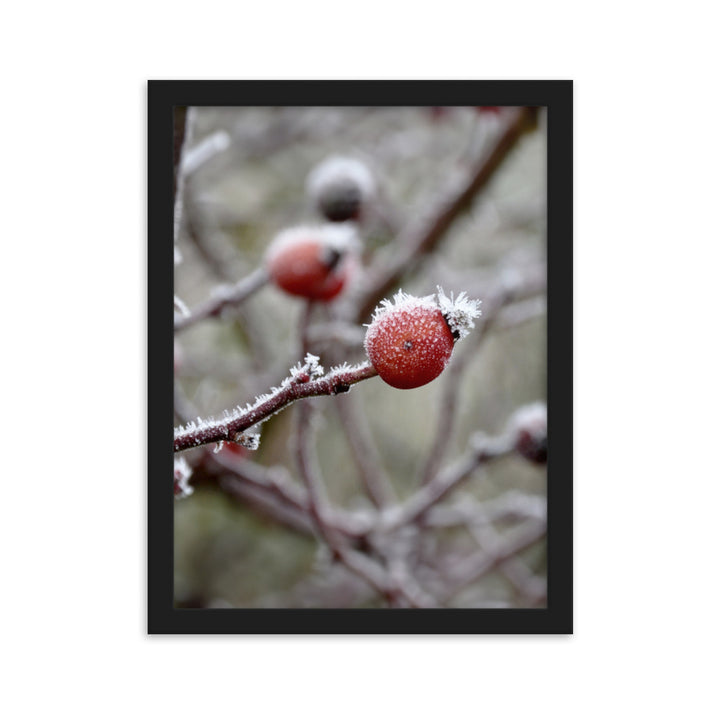 Poster - Winterbeeren II Schwarz / 30×40 cm artlia