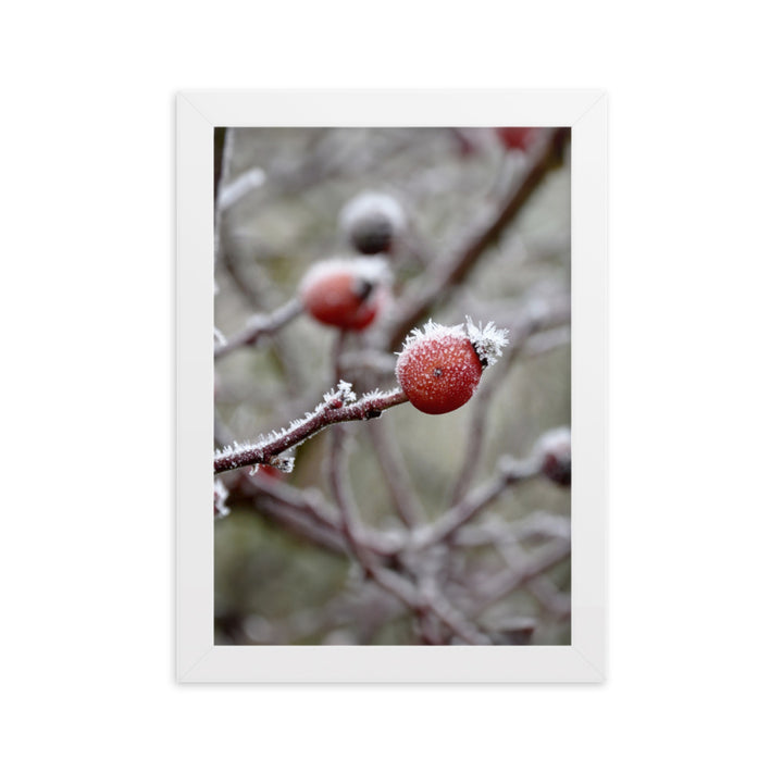 Poster - Winterbeeren II Weiß / 21×30 cm artlia