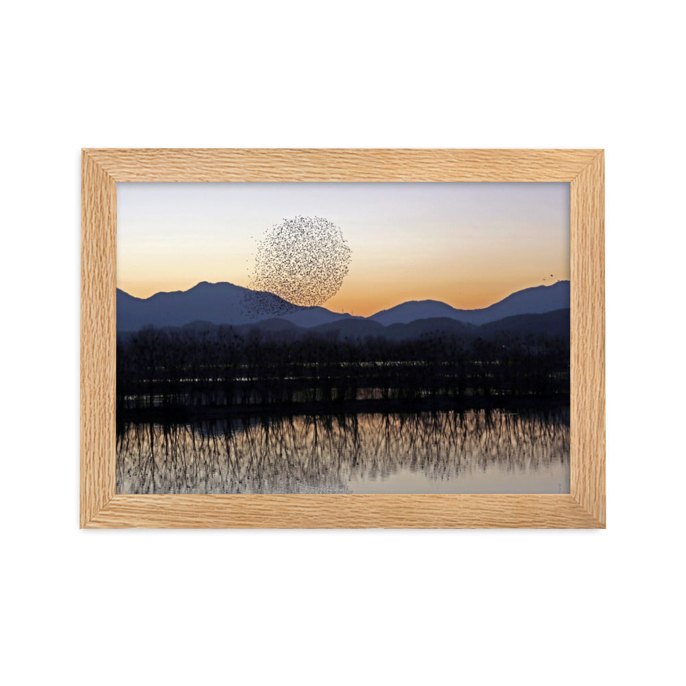Sonnenuntergang im Junam-Wasserreservoir - Poster im Rahmen Oak / 21×30 cm artlia