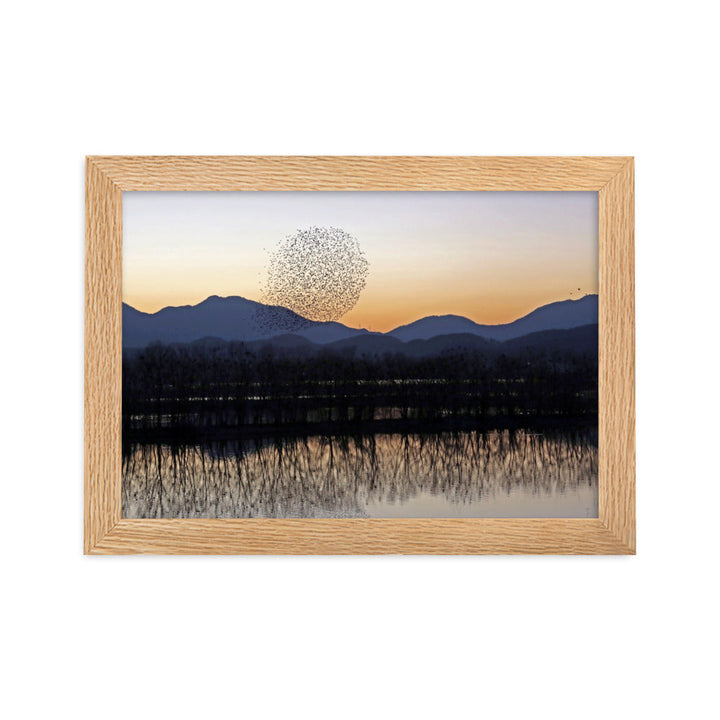 Sonnenuntergang im Junam-Wasserreservoir - Poster im Rahmen Oak / 21×30 cm artlia