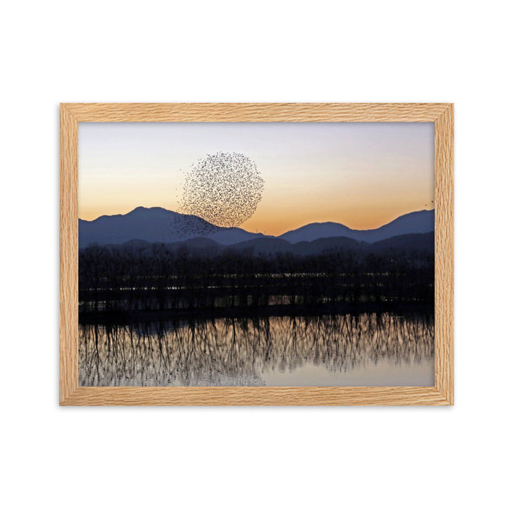 Sonnenuntergang im Junam-Wasserreservoir - Poster im Rahmen Oak / 30×40 cm artlia