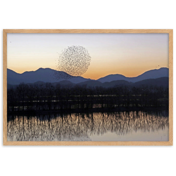 Sonnenuntergang im Junam-Wasserreservoir - Poster im Rahmen Oak / 61×91 cm artlia