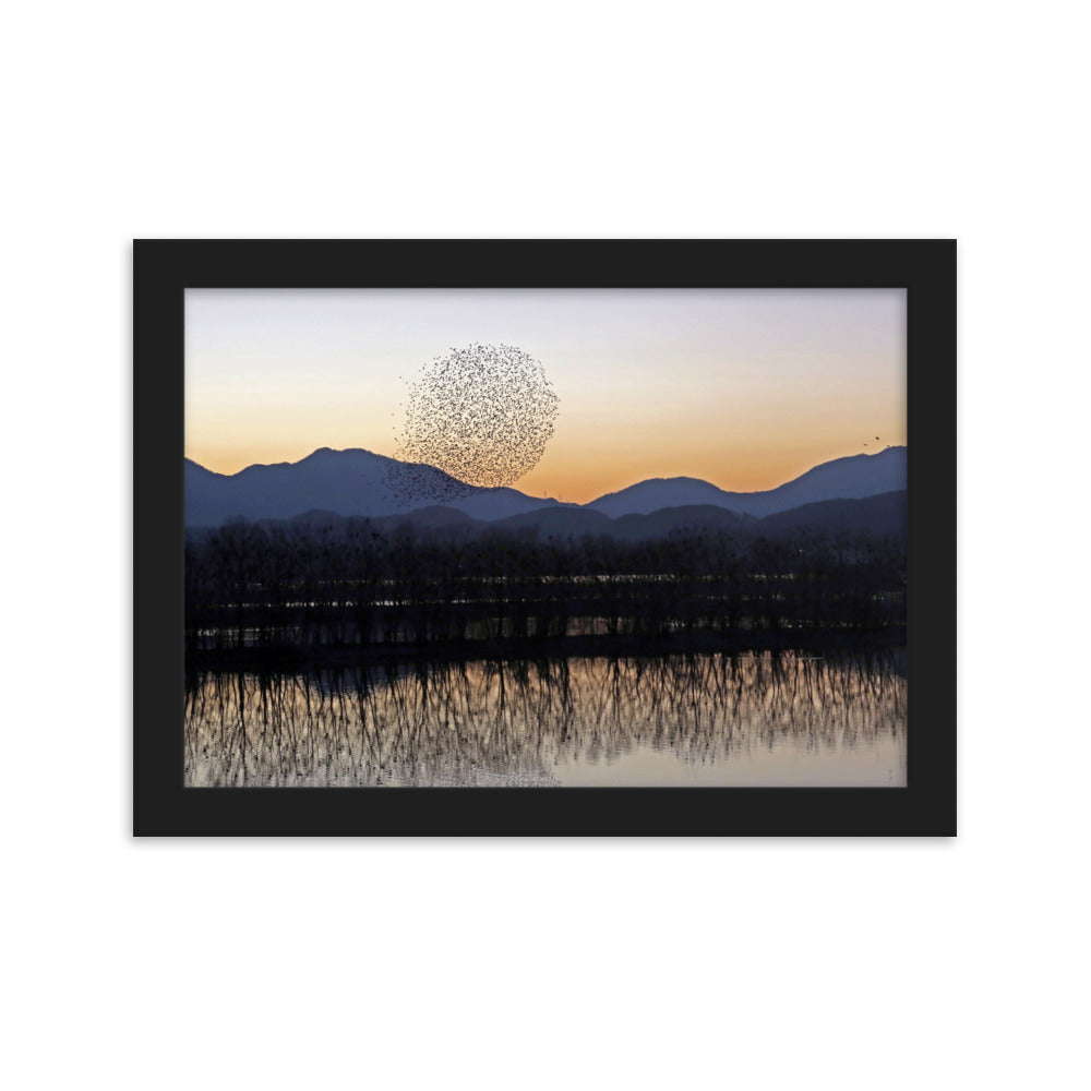 Sonnenuntergang im Junam-Wasserreservoir - Poster im Rahmen Schwarz / 21×30 cm artlia