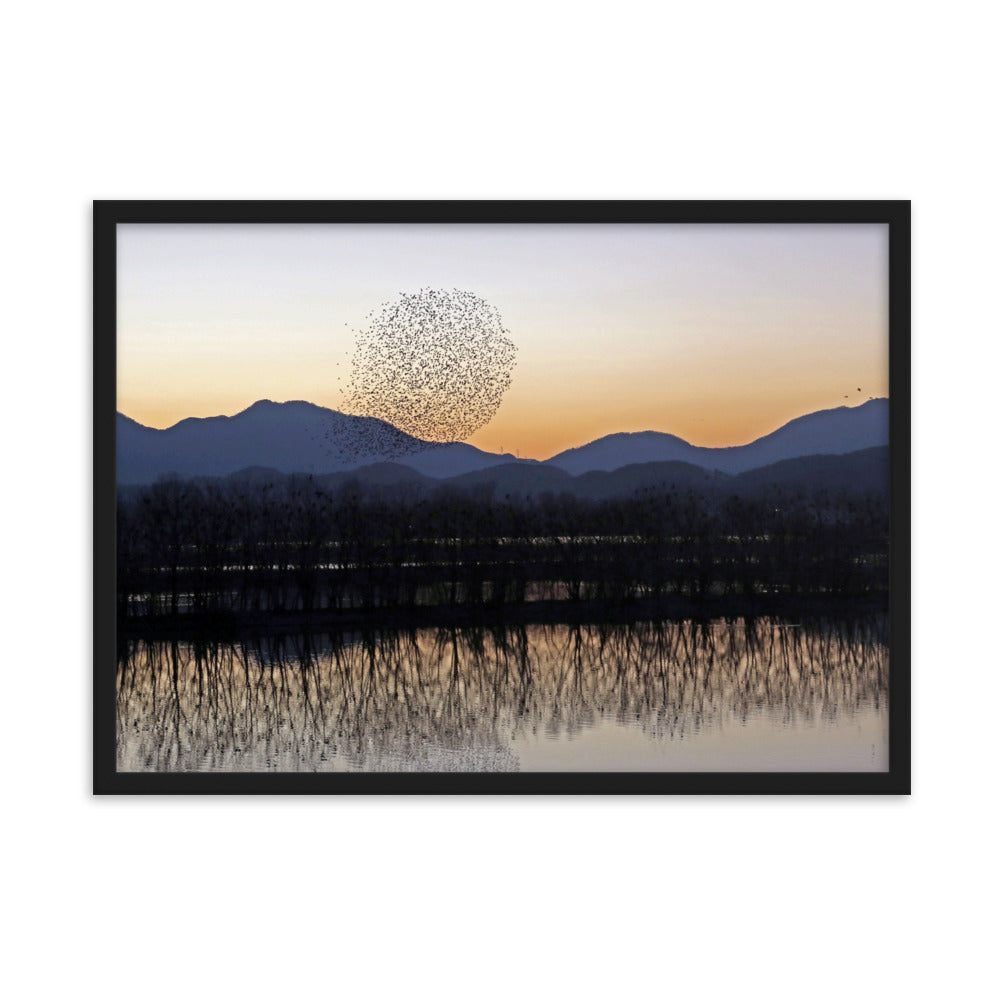 Sonnenuntergang im Junam-Wasserreservoir - Poster im Rahmen Schwarz / 50×70 cm artlia