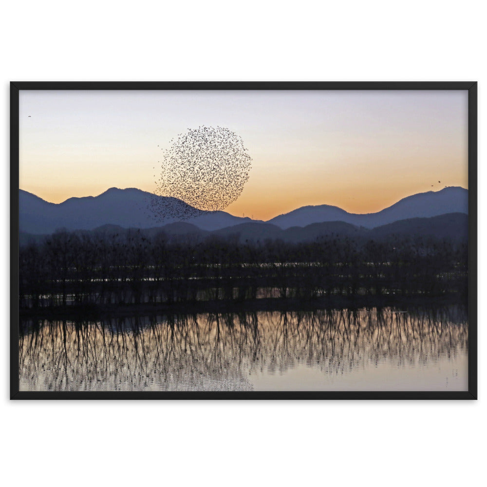 Sonnenuntergang im Junam-Wasserreservoir - Poster im Rahmen Schwarz / 61×91 cm artlia