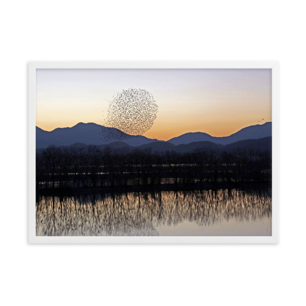 Sonnenuntergang im Junam-Wasserreservoir - Poster im Rahmen Weiß / 50×70 cm artlia