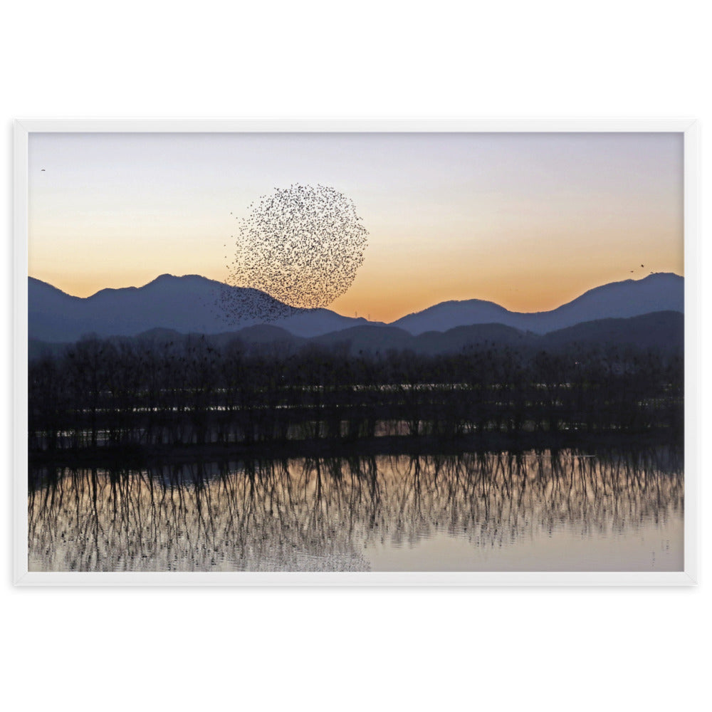 Sonnenuntergang im Junam-Wasserreservoir - Poster im Rahmen Weiß / 61×91 cm artlia