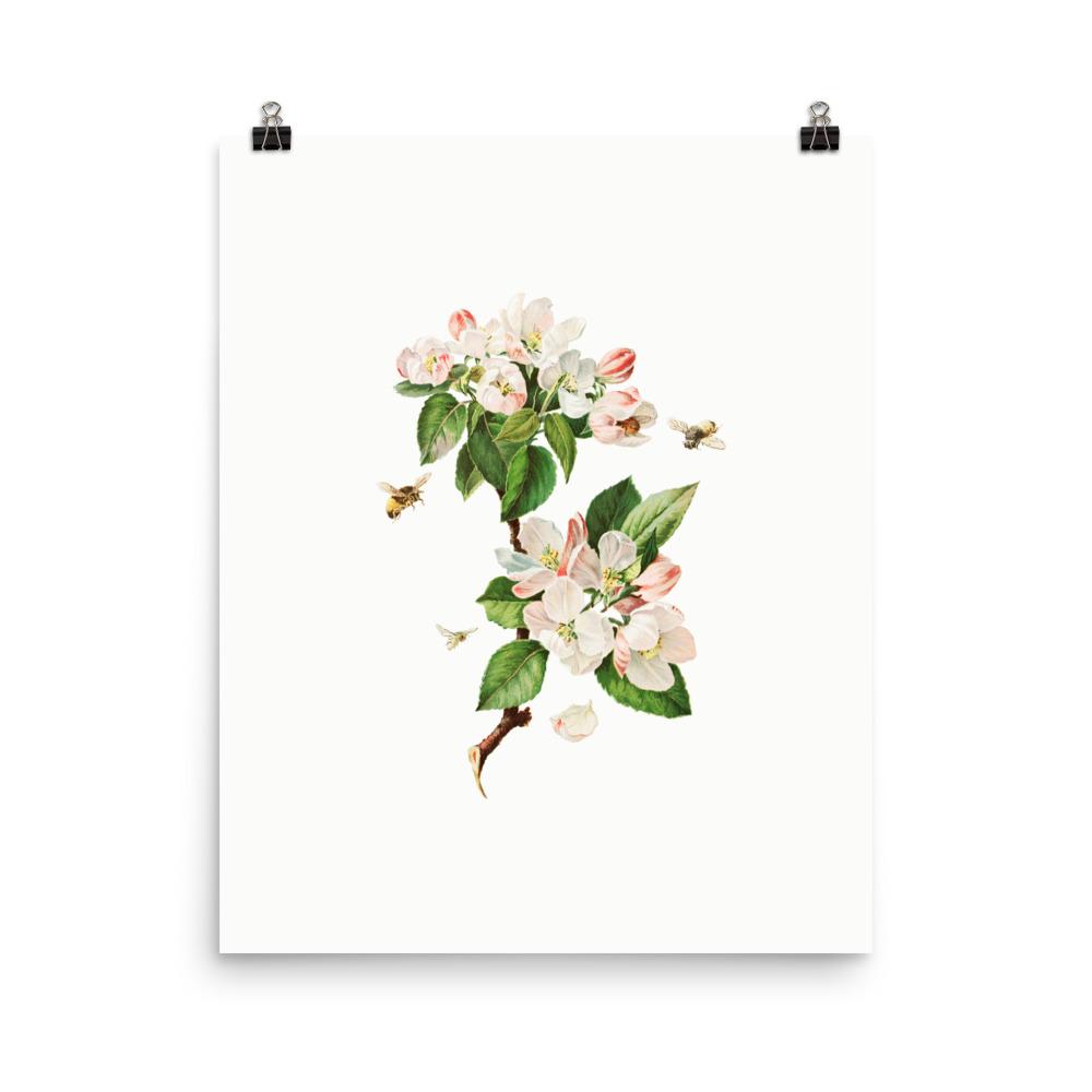 Apfelblüten und Bienen - Poster 20x25 cm artlia