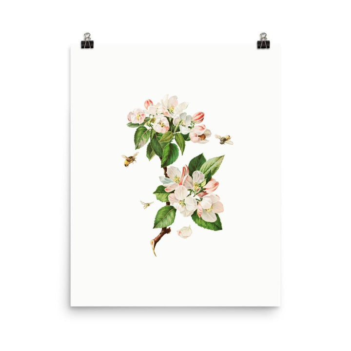 Apfelblüten und Bienen - Poster 20x25 cm artlia