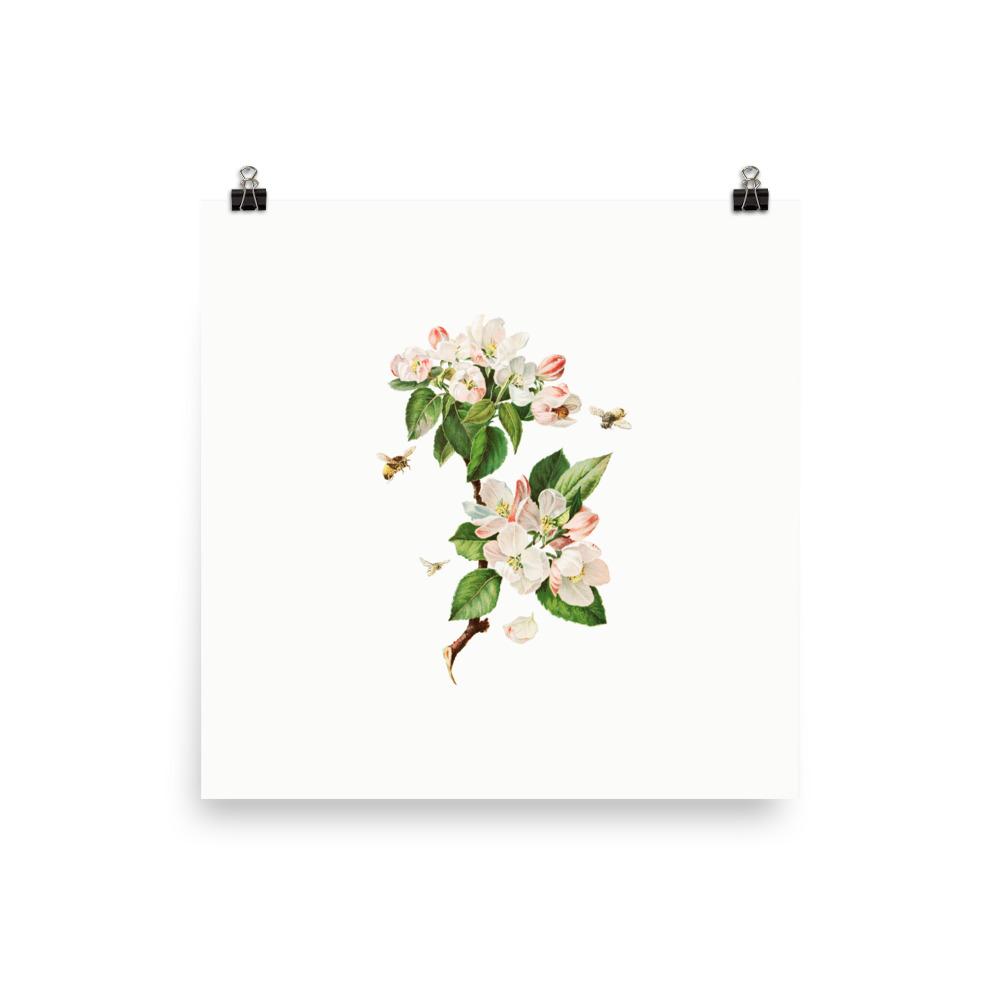 Apfelblüten und Bienen - Poster 25x25 cm artlia