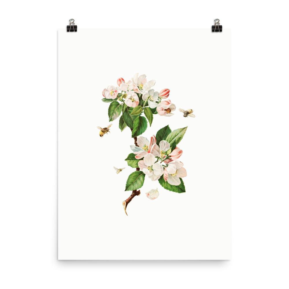 Apfelblüten und Bienen - Poster 30x41 cm artlia