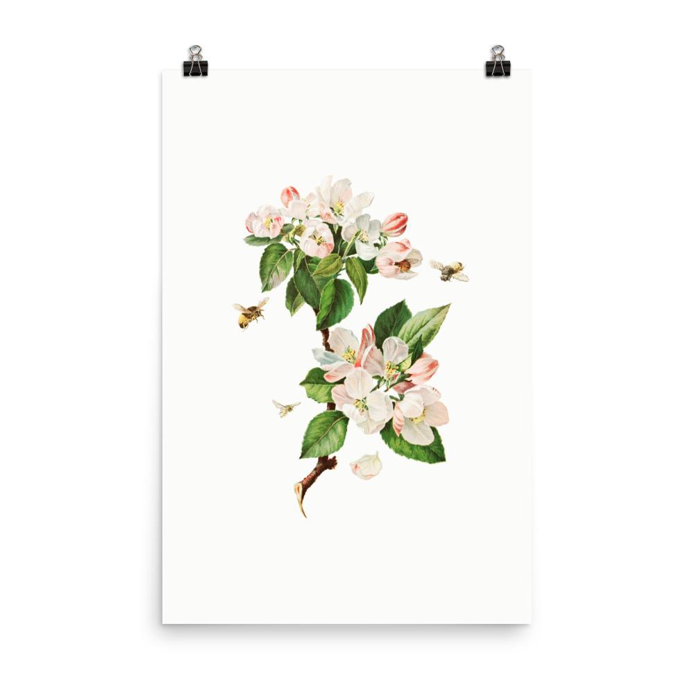 Apfelblüten und Bienen - Poster 30x45 cm artlia