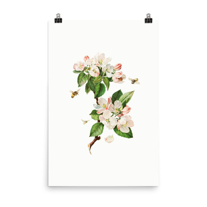 Apfelblüten und Bienen - Poster 30x45 cm artlia