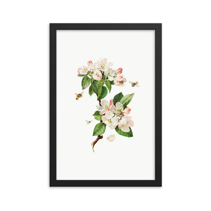 Apfelblüten und Bienen - Poster im Rahmen schwarz / 30x45 cm artlia