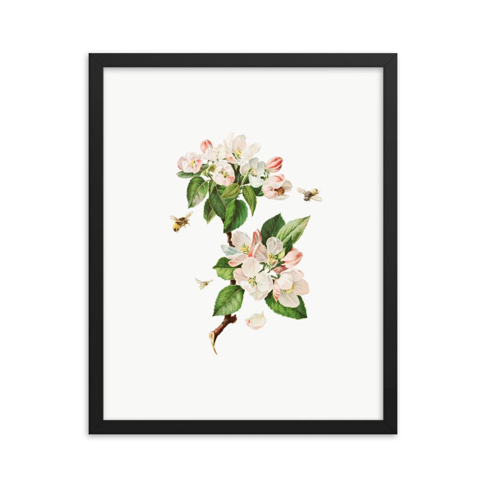 Apfelblüten und Bienen - Poster im Rahmen schwarz / 41x51 cm artlia