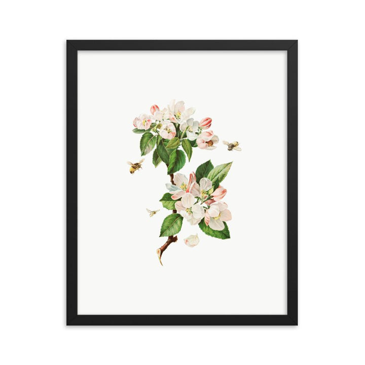 Apfelblüten und Bienen - Poster im Rahmen schwarz / 41x51 cm artlia