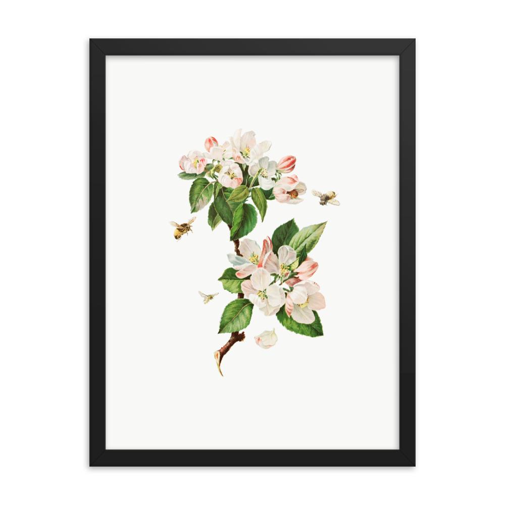 Apfelblüten und Bienen - Poster im Rahmen schwarz / 30x41 cm artlia