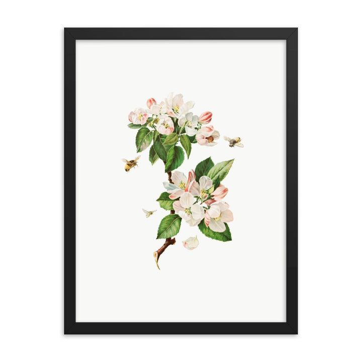 Apfelblüten und Bienen - Poster im Rahmen schwarz / 30x41 cm artlia