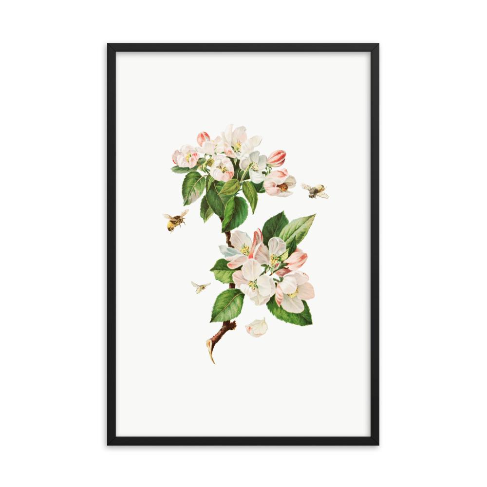 Apfelblüten und Bienen - Poster im Rahmen schwarz / 61x91 cm artlia