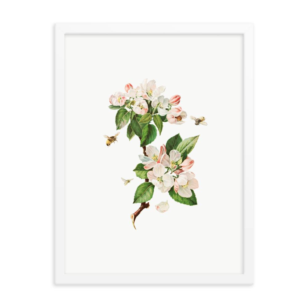 Apfelblüten und Bienen - Poster im Rahmen weiß / 30x41 cm artlia