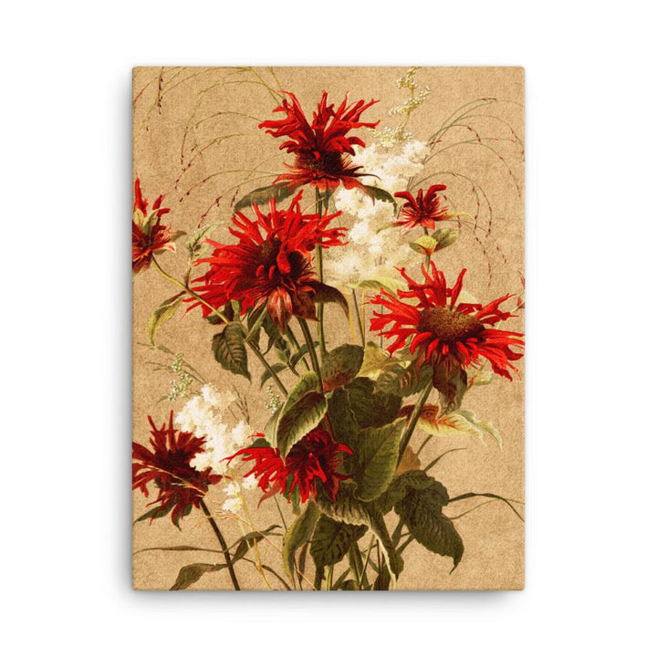 Balsam und Spiraea - Leinwand 30x41 cm artlia