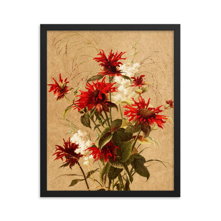 Balsam und Spiraea - Poster im Rahmen schwarz / 41x51 cm artlia