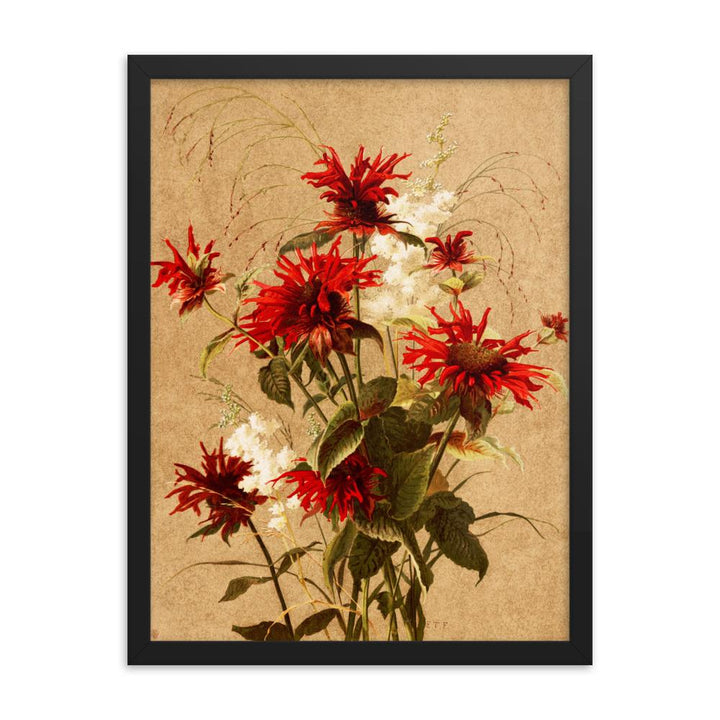 Balsam und Spiraea - Poster im Rahmen schwarz / 30x41 cm artlia