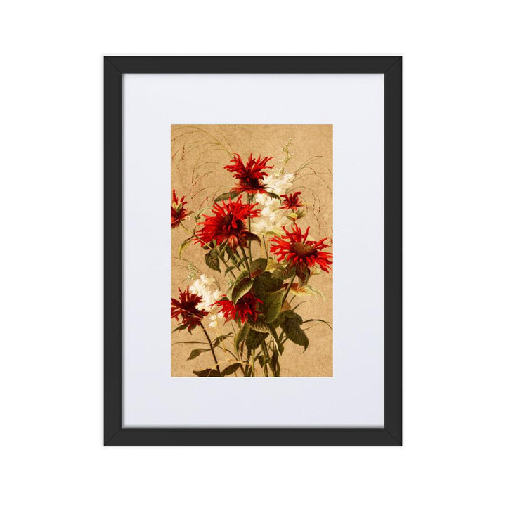 Balsam und Spiraea - Poster im Rahmen mit Passepartout schwarz / 30×40 cm artlia