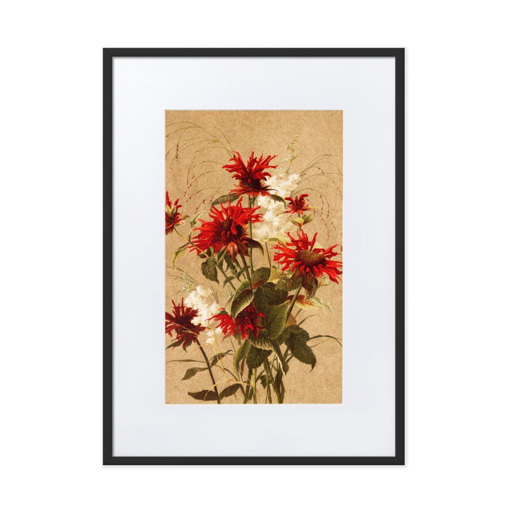 Balsam und Spiraea - Poster im Rahmen mit Passepartout schwarz / 50×70 cm artlia