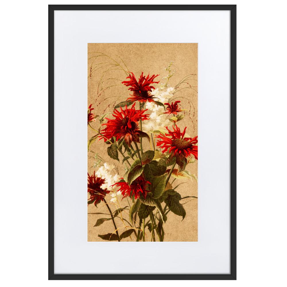 Balsam und Spiraea - Poster im Rahmen mit Passepartout schwarz / 61×91 cm artlia