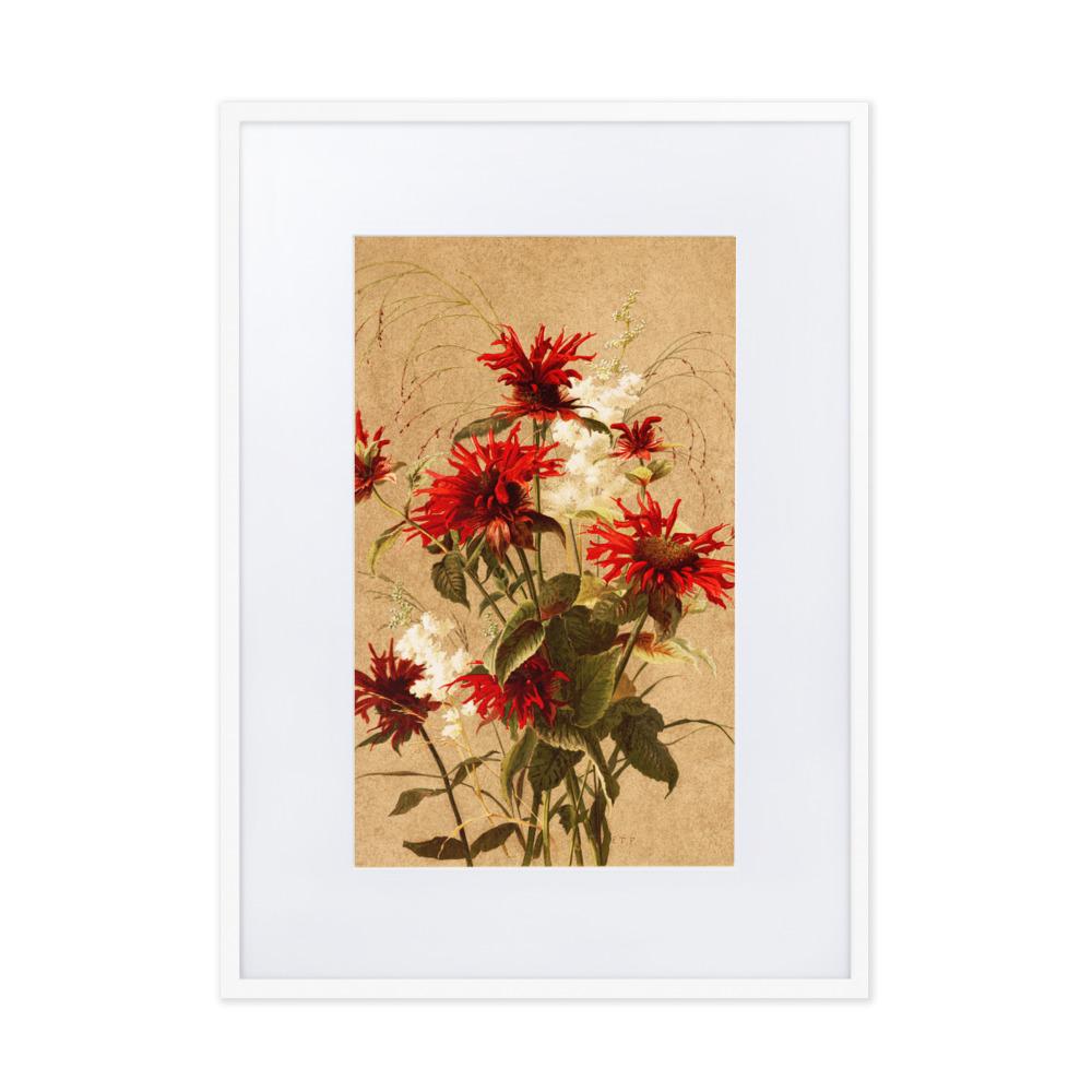 Balsam und Spiraea - Poster im Rahmen mit Passepartout weiß / 50×70 cm artlia
