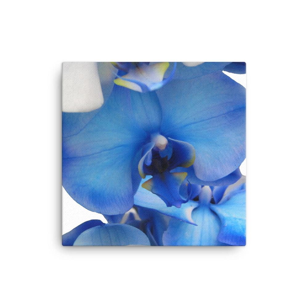 Blue Orchid - Leinwand 30x30 cm artlia
