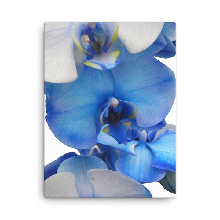 Blue Orchid - Leinwand 30x41 cm artlia