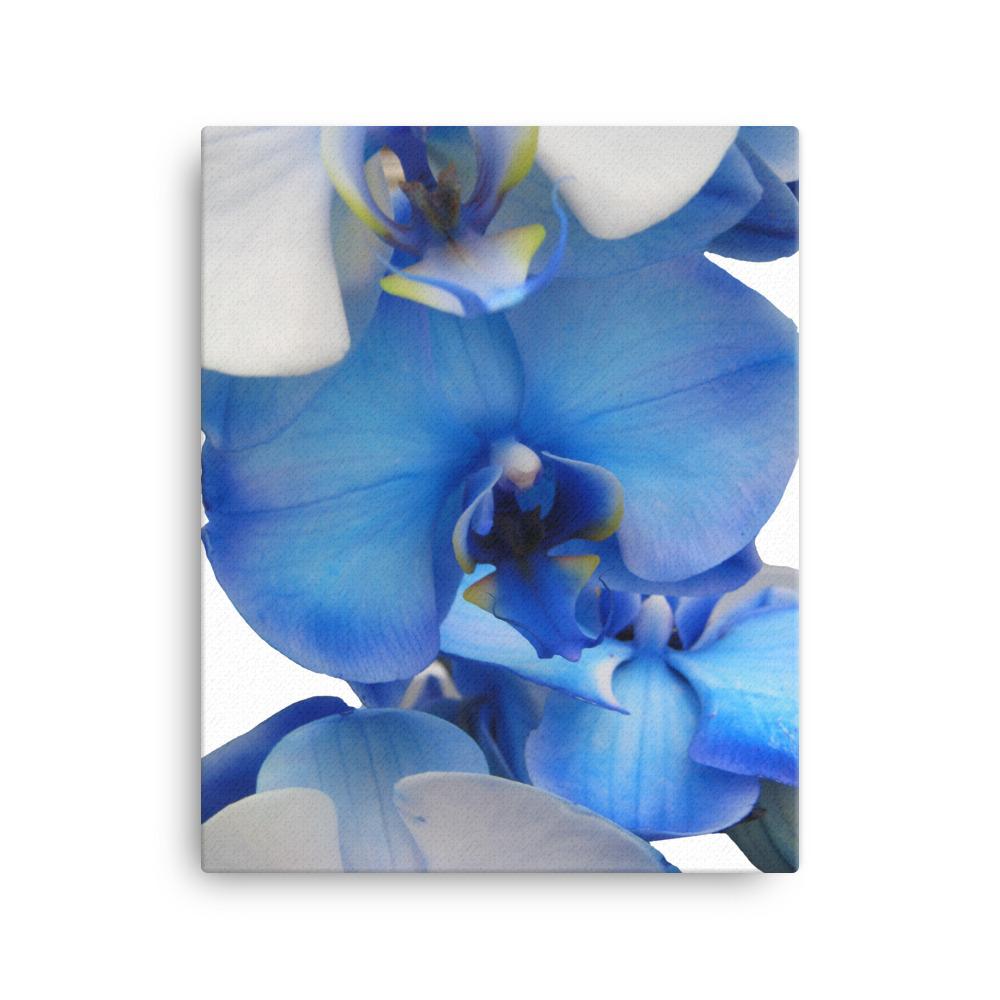 Blue Orchid - Leinwand 41x51 cm artlia