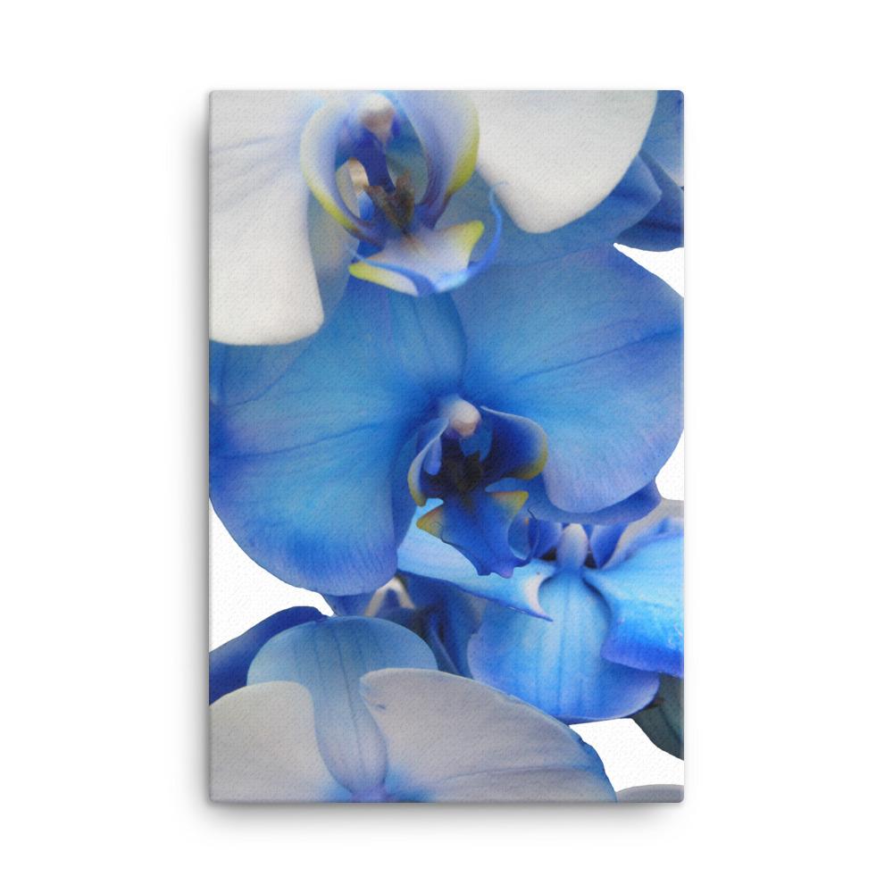 Blue Orchid - Leinwand 61x91 cm artlia
