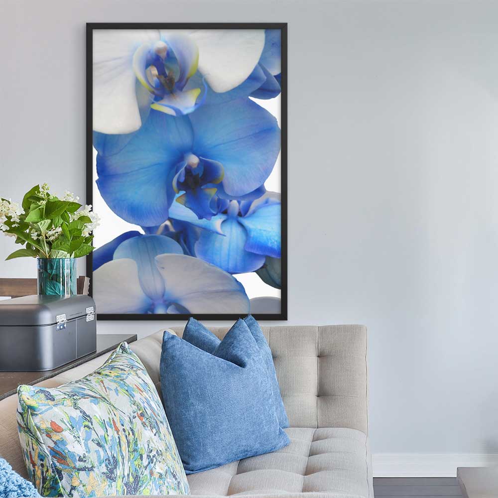 Blue Orchid - Poster im Rahmen artlia