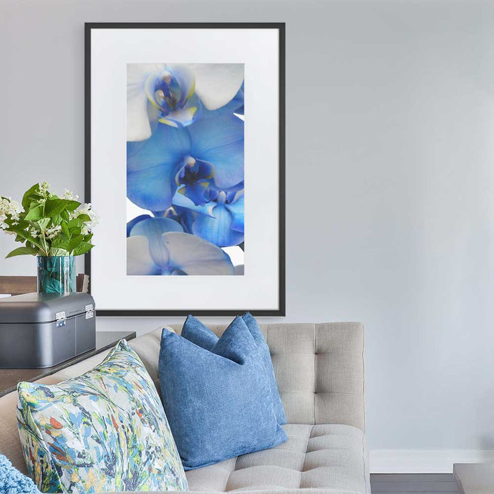 Blue Orchid - Poster im Rahmen mit Passepartout schwarz / 61×91 cm artlia