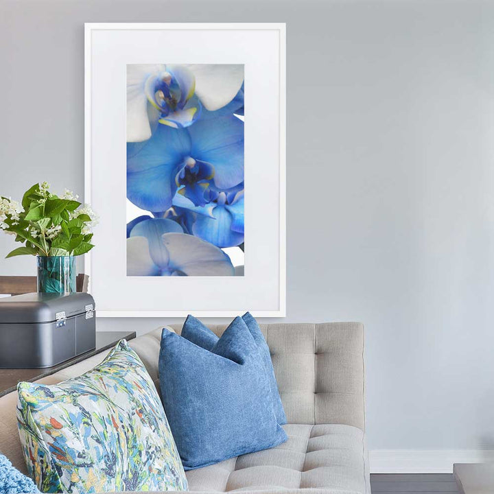 Blue Orchid - Poster im Rahmen mit Passepartout weiß / 61×91 cm artlia