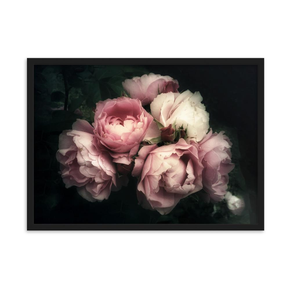Strauß Pfingstrosen - Poster im Rahmen Schwarz / 50×70 cm artlia