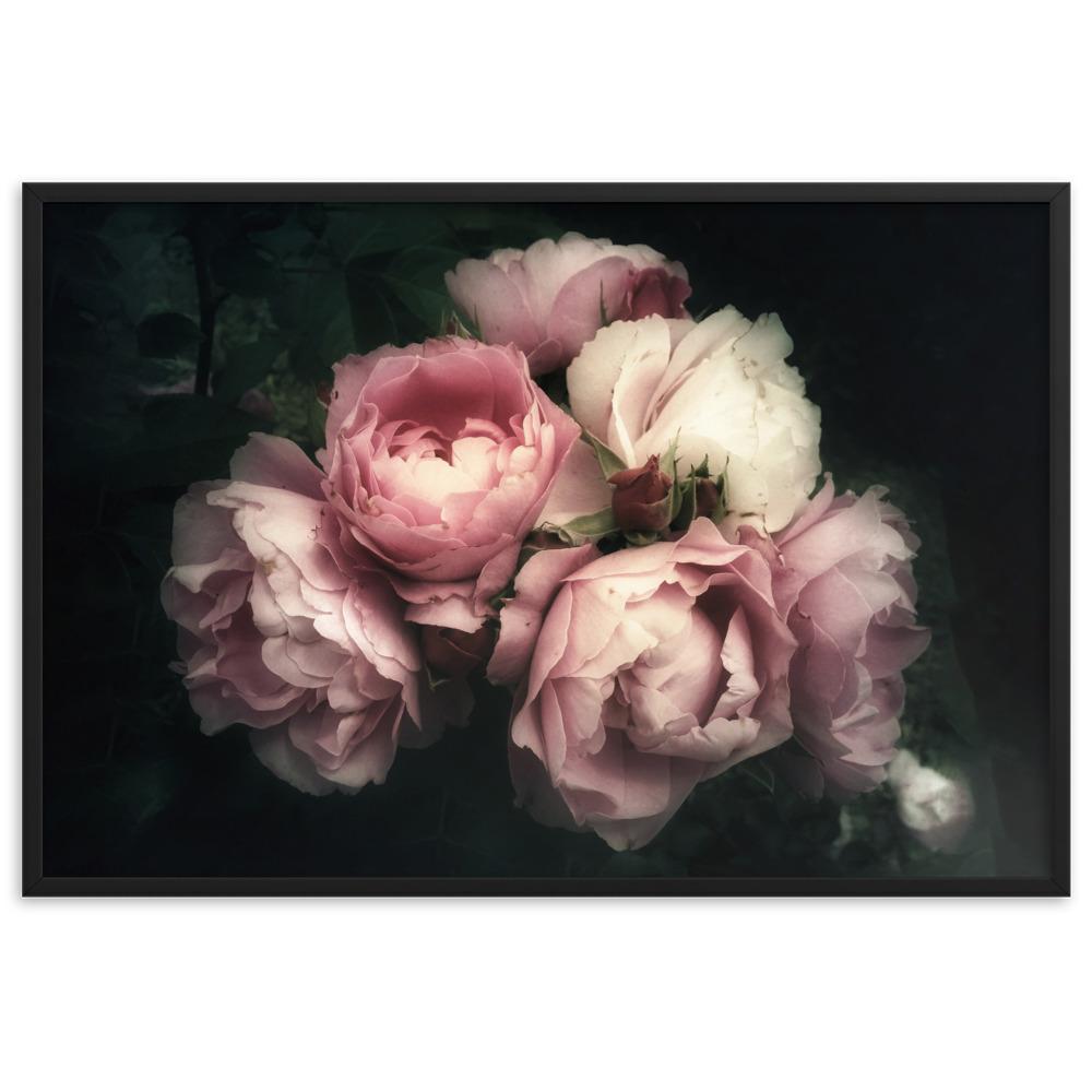 Strauß Pfingstrosen - Poster im Rahmen Schwarz / 61×91 cm artlia
