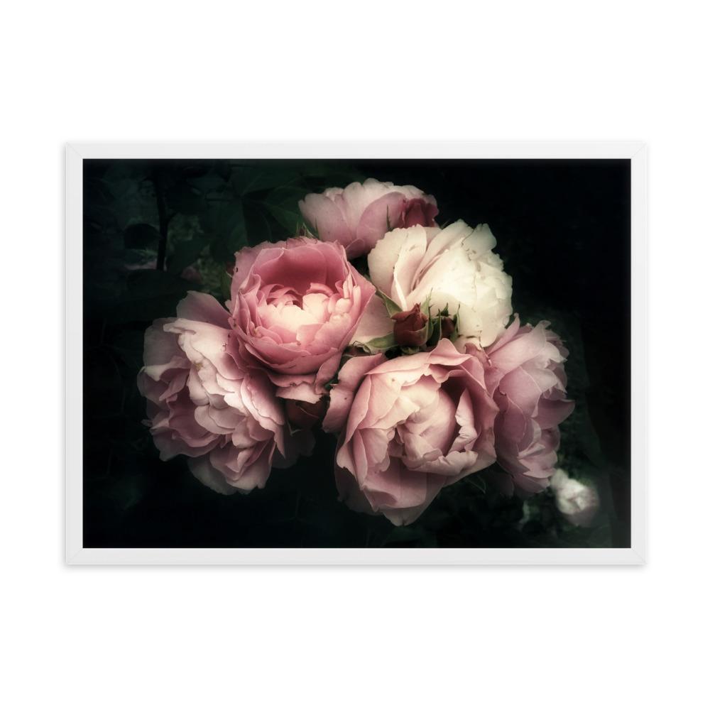 Strauß Pfingstrosen - Poster im Rahmen Weiß / 50×70 cm artlia
