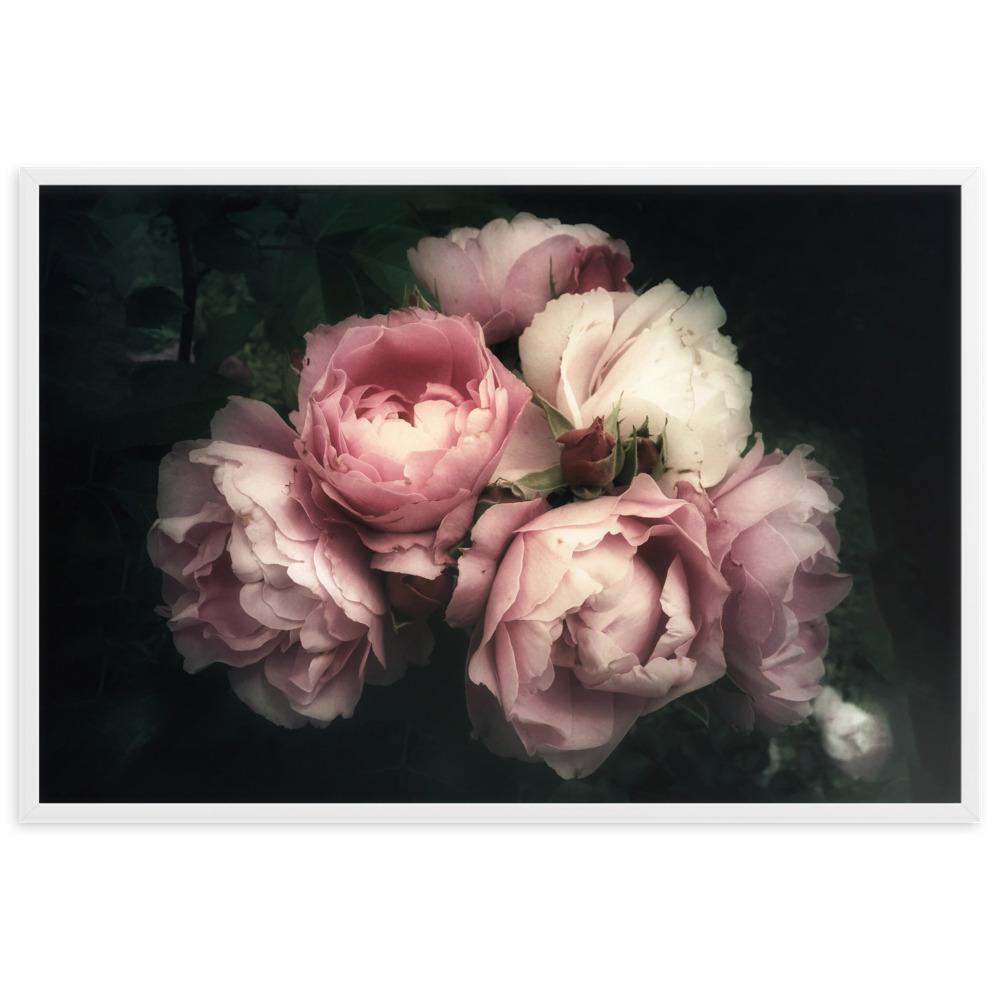Strauß Pfingstrosen - Poster im Rahmen Weiß / 61×91 cm artlia