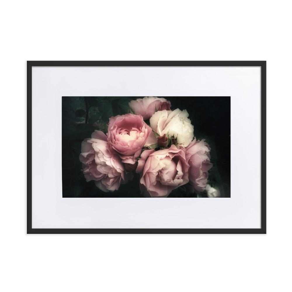 Strauß Pfingstrosen - Poster im Rahmen mit Passepartout Schwarz / 50×70 cm artlia