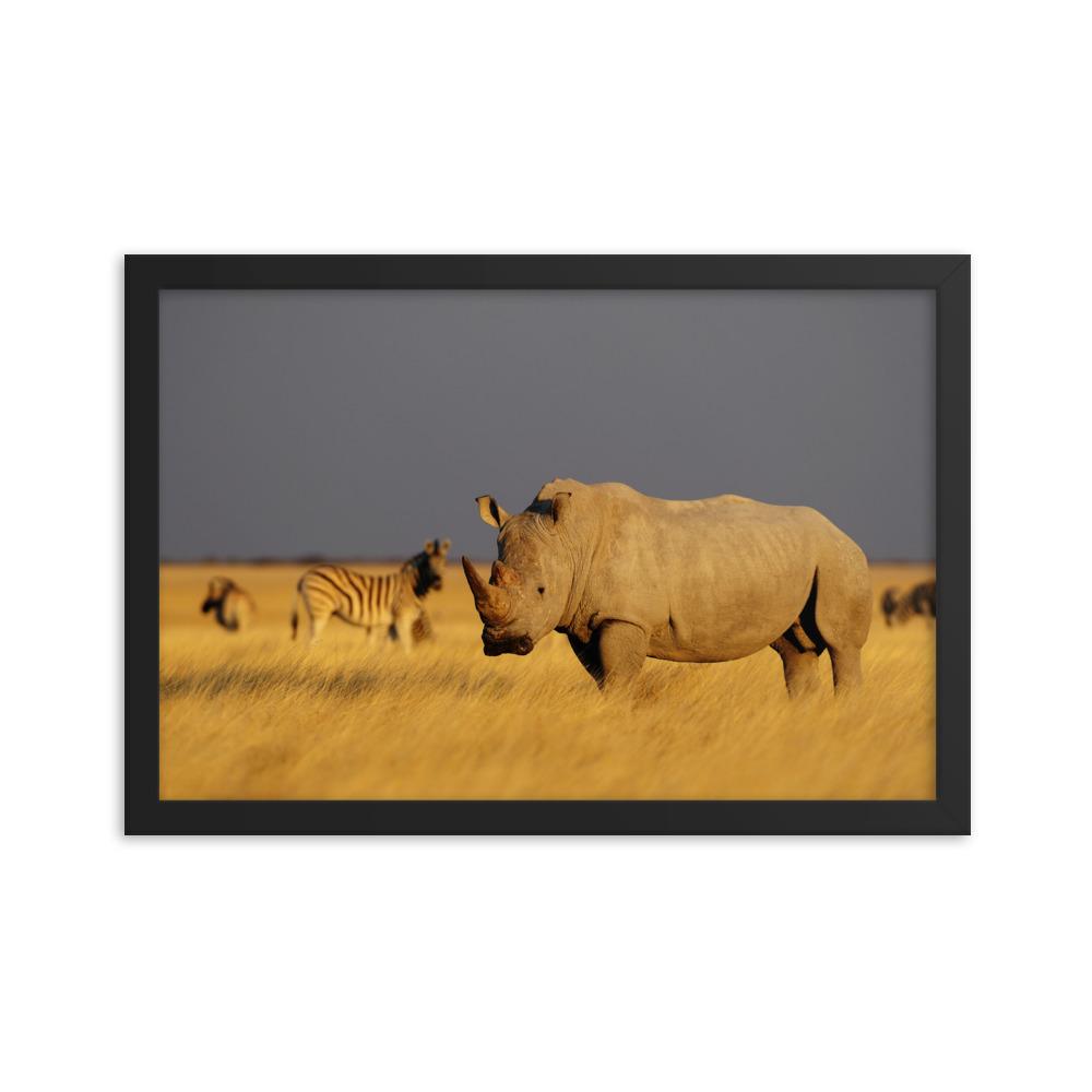 Das Nashorn - Poster im Rahmen schwarz / 30x45 cm artlia