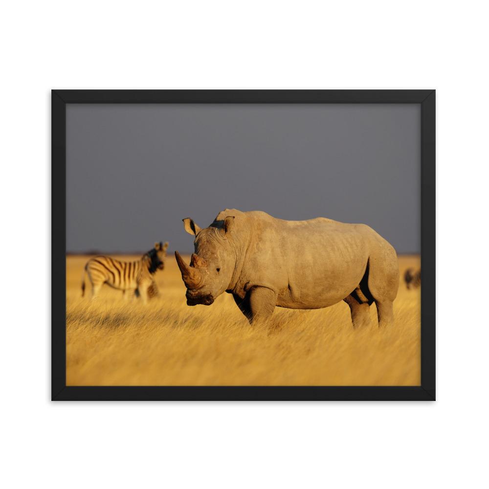 Das Nashorn - Poster im Rahmen schwarz / 41x51 cm artlia